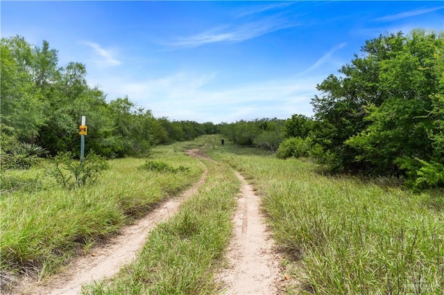 00 Military Rd, La Joya, TX 78560 - photo 18