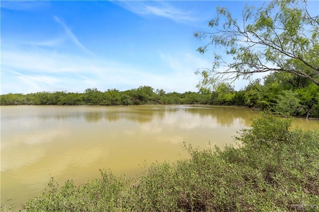 00 Military Rd, La Joya, TX 78560 - photo 9