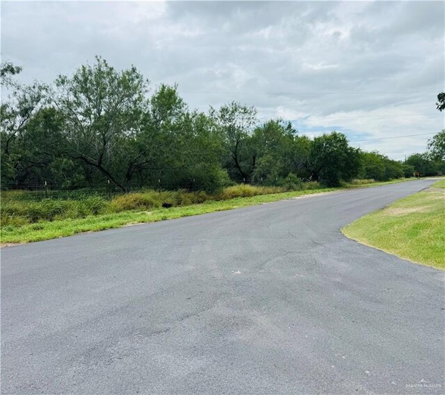 00 Military Rd, La Joya, TX 78560 - photo 26