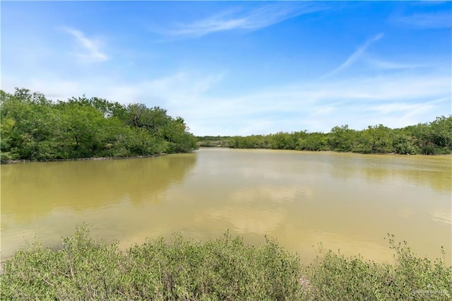 00 Military Rd, La Joya, TX 78560 - photo 17