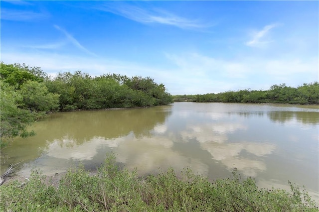 00 Military Rd, La Joya, TX 78560 - photo 15