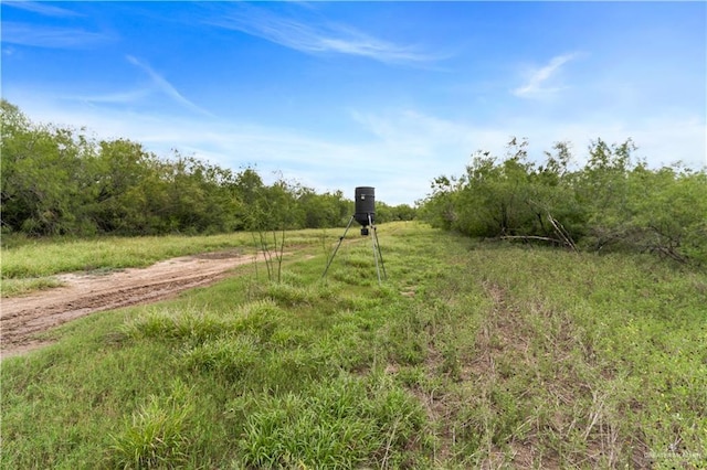 00 Military Rd, La Joya, TX 78560 - photo 16