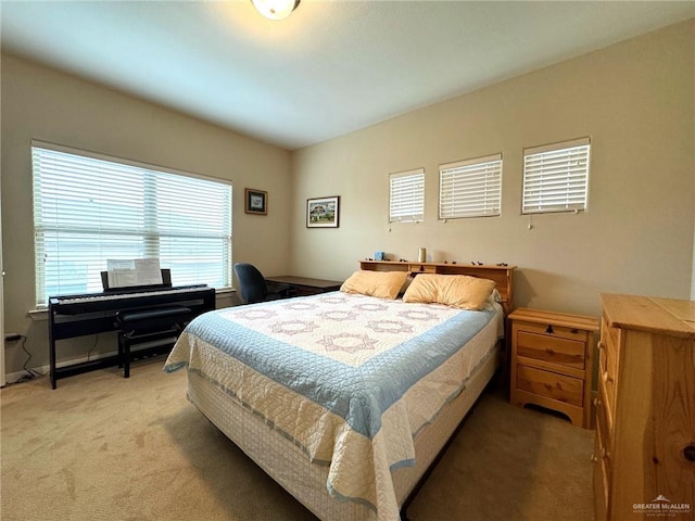 bedroom with carpet flooring