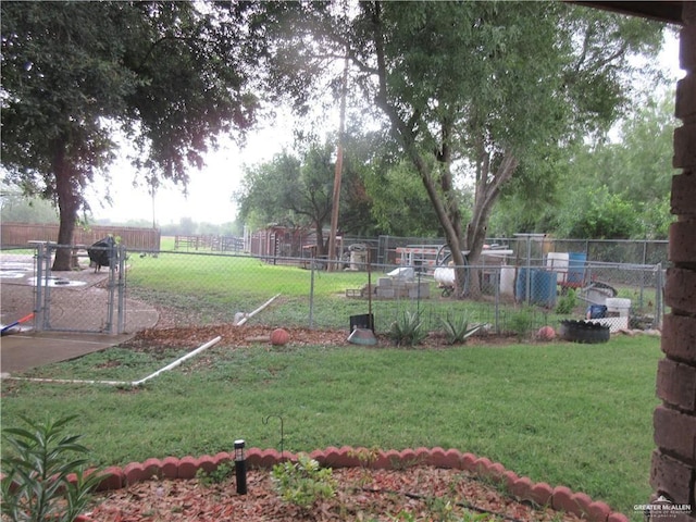 4922 E State Highway 107, Edinburg, TX 78542 - view of yard