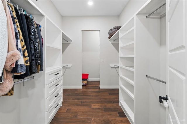 1412 E Mile 2nd Rd, Mission, TX 78574 - walk in closet with dark wood-style floors