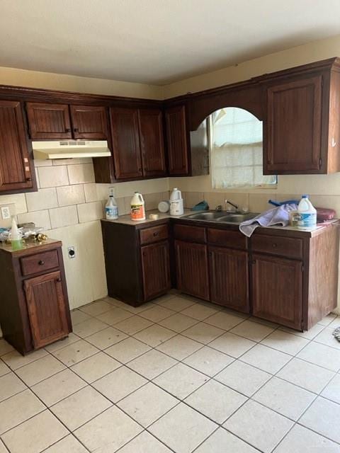 kitchen with sink, decorative backsplash, and dark brown cabinets