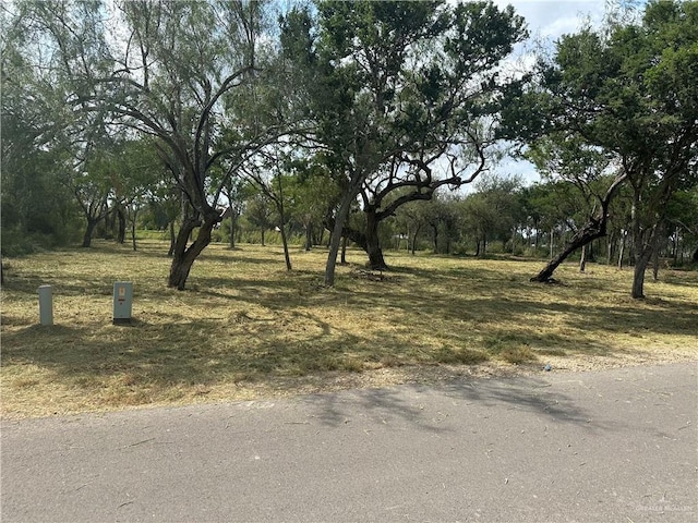 N/A Moonlake Dr, Progreso Lakes TX, 78596 land for sale