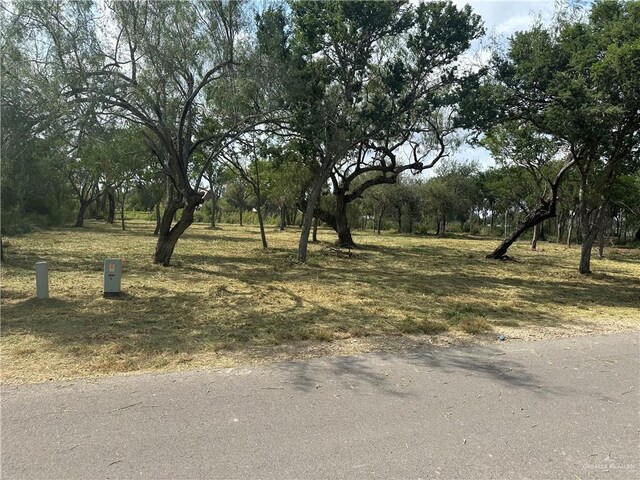 N/A Moonlake Dr, Progreso Lakes, TX 78596 - photo 1