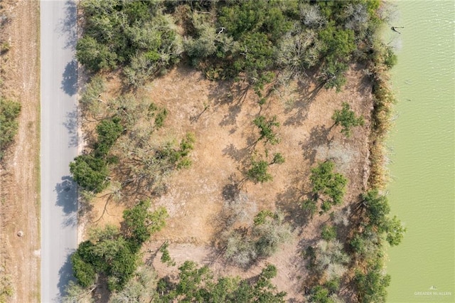 N/A Moonlake Dr, Progreso Lakes, TX 78596 - photo 4