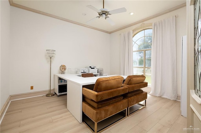 3703 N Glasscock Rd, Palmhurst, TX 78573 - home office with light wood finished floors, a ceiling fan, ornamental molding, and recessed lighting