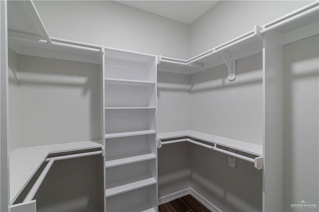 walk in closet with hardwood / wood-style floors