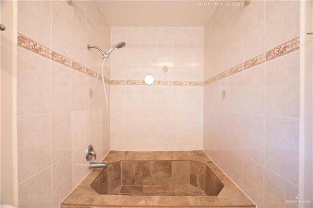 613 Escandon Ave, Rancho Viejo, TX 78575 - bathroom with a tile shower