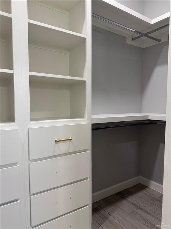 1203 Moses Dr, San Juan, TX 78589 - view of closet