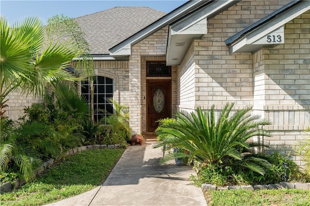 513 E Shasta Ave, Mcallen, TX 78504 - doorway to property featuring brick siding and roof with shingles