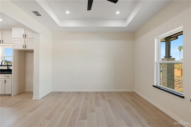 spare room with light wood-type flooring, a tray ceiling, and a wealth of natural light