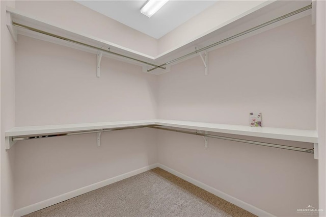 1425 Ozark Ave, Mcallen, TX 78504 - spacious closet with light carpet