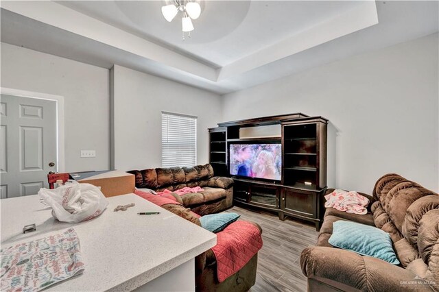 408 S 21st St, Mcallen, TX 78501 - living room featuring a raised ceiling, ceiling fan, and light wood finished floors