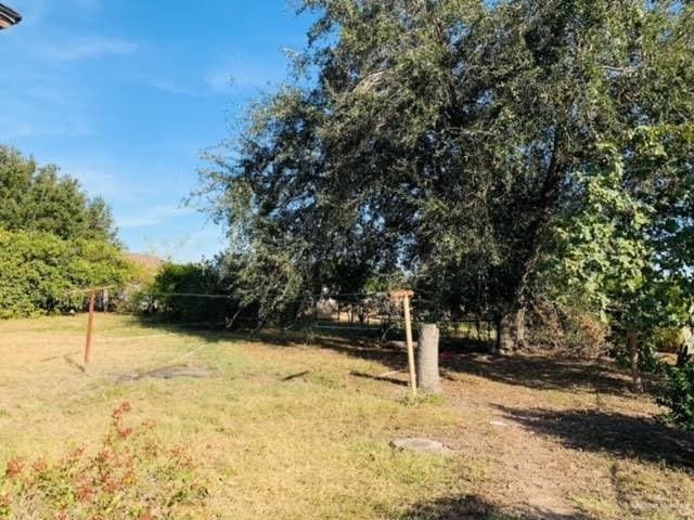 1418 Bentsen Palm Dr, Palmview, TX 78574