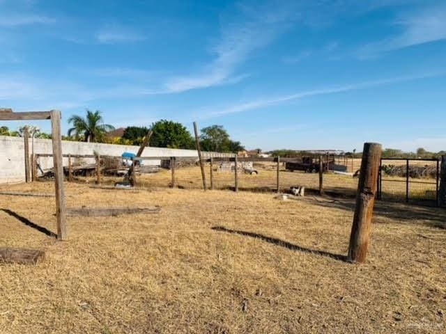 1418 Bentsen Palm Dr, Palmview, TX 78574