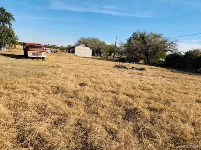 1418 Bentsen Palm Dr, Palmview, TX 78574