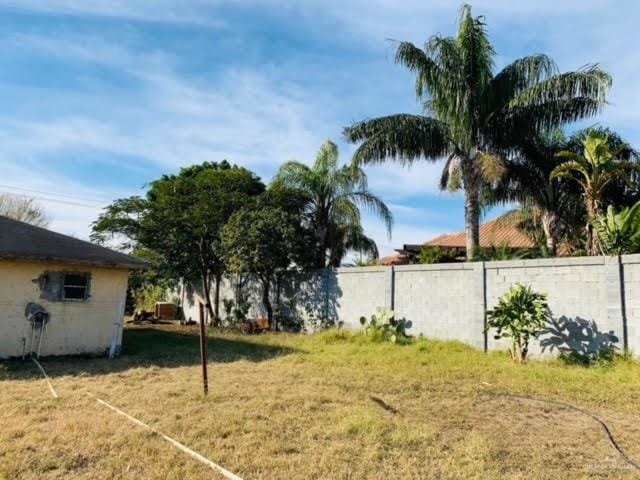 1418 Bentsen Palm Dr, Palmview, TX 78574