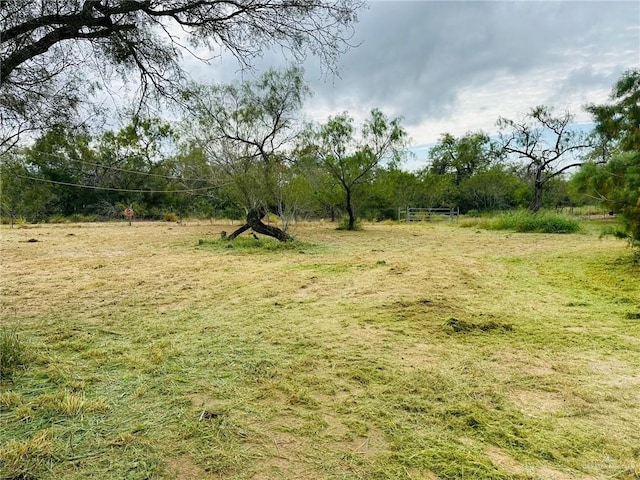 view of landscape featuring a rural view