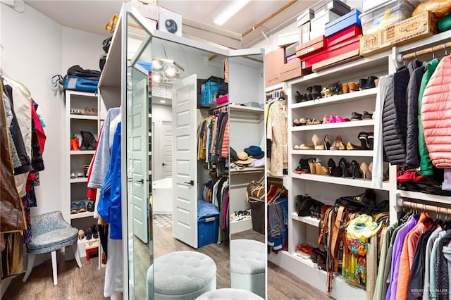 walk in closet featuring hardwood / wood-style floors