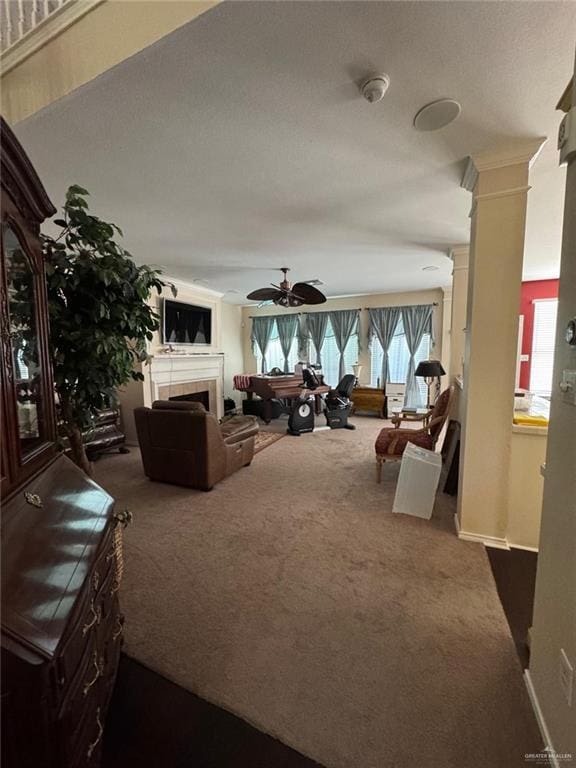 2804 Santa Lydia Rd, Mission, TX 78572 - photo 12
