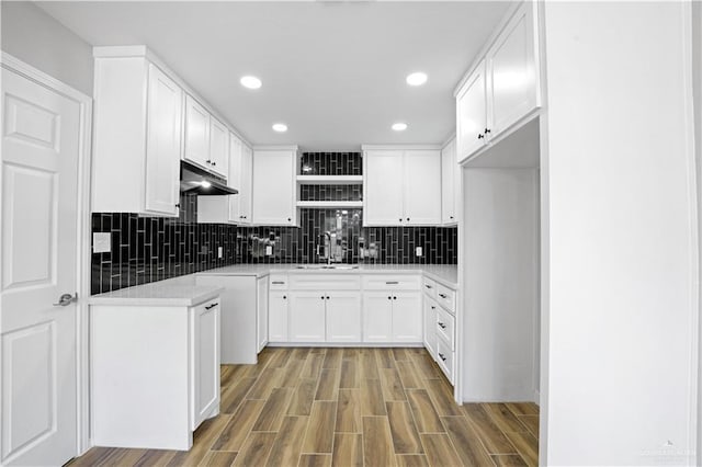 314 N Veterans Blvd, Edinburg, TX 78541 - kitchen featuring a sink, under cabinet range hood, backsplash, recessed lighting, and light wood-style flooring