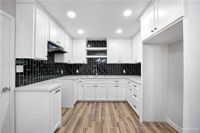 314 N Veterans Blvd, Edinburg, TX 78541 - kitchen with under cabinet range hood, light wood-style flooring, tasteful backsplash, white cabinets, and recessed lighting