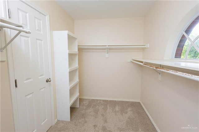 walk in closet with light colored carpet