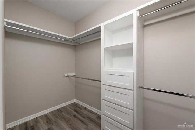 walk in closet with dark wood-type flooring