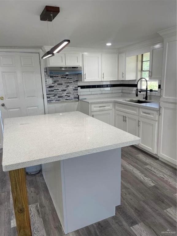 kitchen featuring backsplash, dark wood-style flooring, under cabinet range hood, and a sink