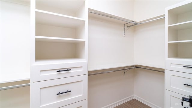 536 Pearl St, Edinburg, TX 78539 - view of spacious closet