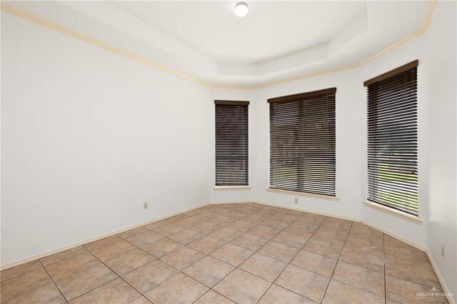 313 Royal St, Edinburg, TX 78539 - unfurnished room featuring a raised ceiling