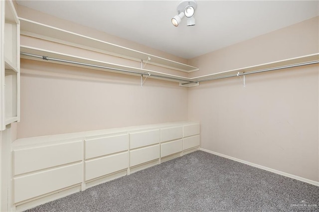 313 Royal St, Edinburg, TX 78539 - walk in closet featuring carpet flooring