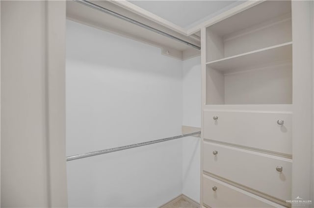 view of walk in closet