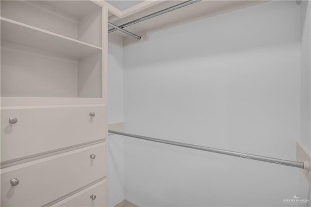 view of spacious closet