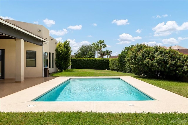 view of swimming pool with a yard and a patio