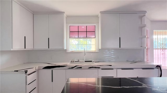 kitchen featuring white cabinetry, light stone countertops, sink, and tasteful backsplash