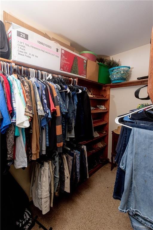 907 Amethyst Dr, Weslaco, TX 78596 - walk in closet with carpet