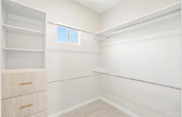 view of spacious closet