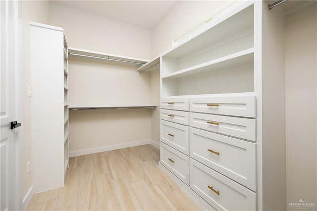 spacious closet featuring light hardwood / wood-style flooring