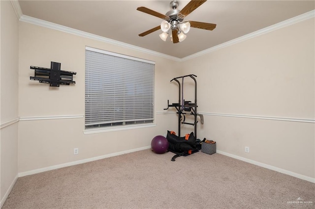 exercise room with carpet flooring, ceiling fan, and crown molding