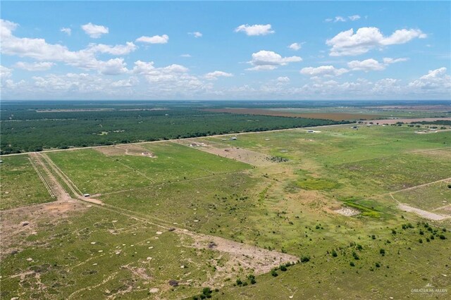 17449 La Coma Service Rd, Edinburg, TX 78541