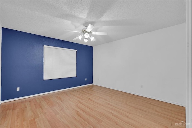 3704 Camellia Ave, Mcallen, TX 78501 - photo 14