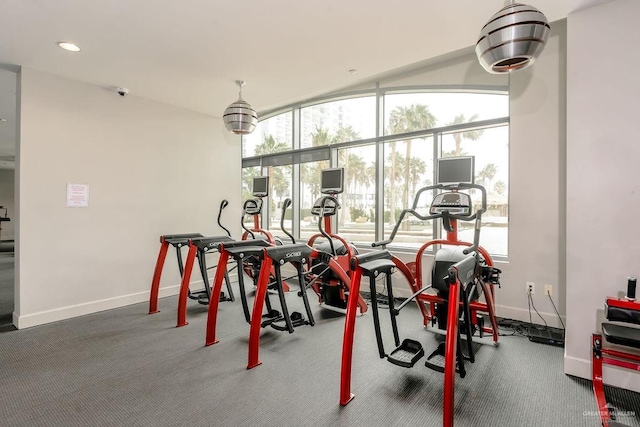 workout area with carpet flooring and plenty of natural light