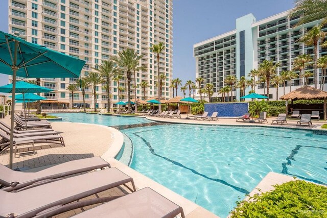 view of pool featuring a patio