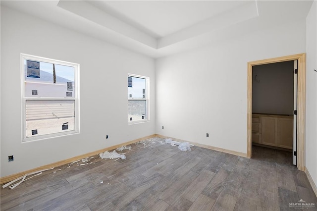 interior space featuring hardwood / wood-style flooring, a healthy amount of sunlight, and a tray ceiling