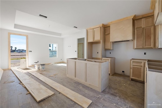 kitchen featuring a tray ceiling and light brown cabinets